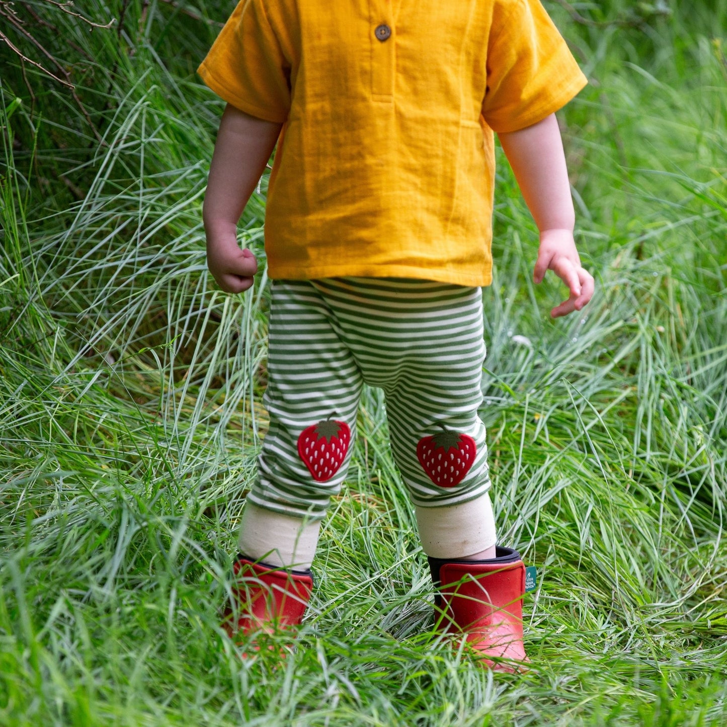 Little Green Radicals
