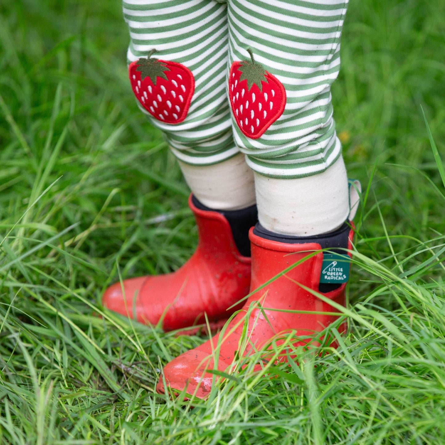 Little Green Radicals