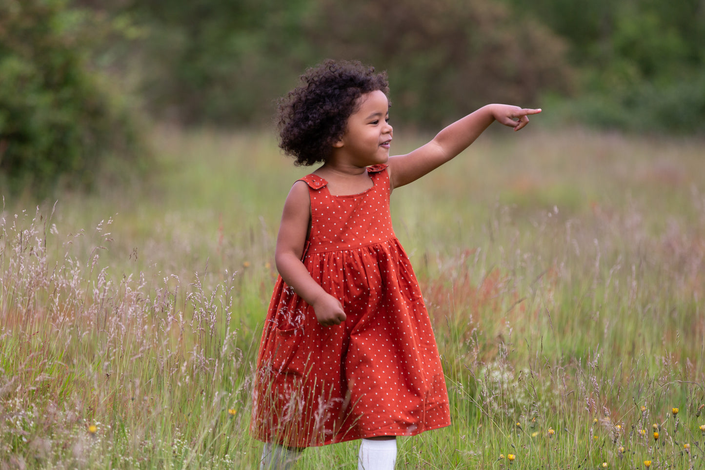 Little Green Radicals