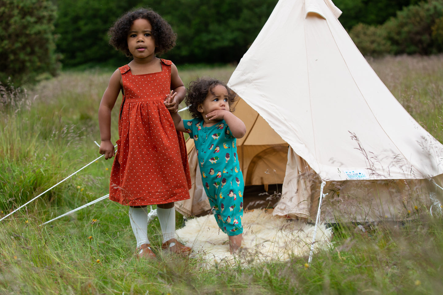 Little Green Radicals