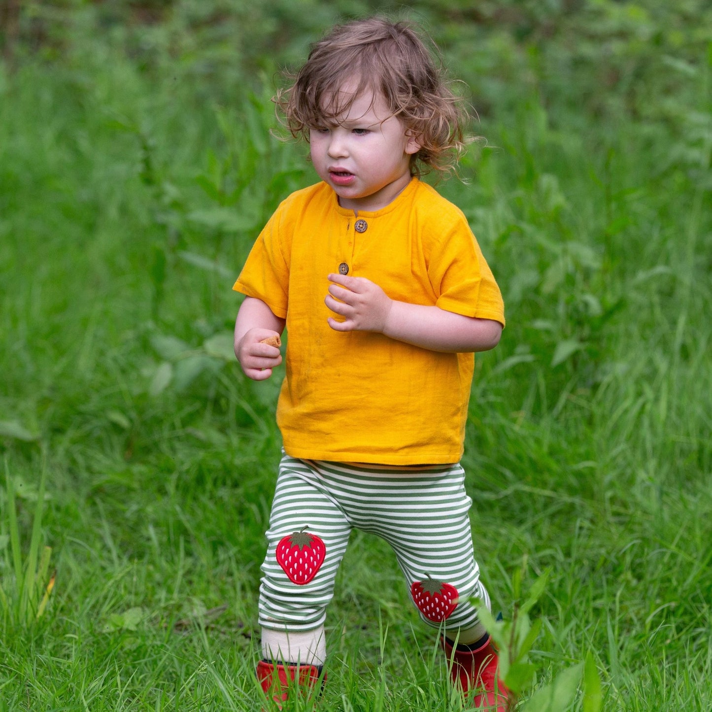 Little Green Radicals